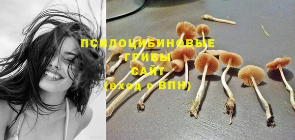 ECSTASY Баксан
