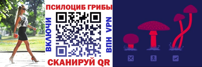 Псилоцибиновые грибы GOLDEN TEACHER  Шуя 
